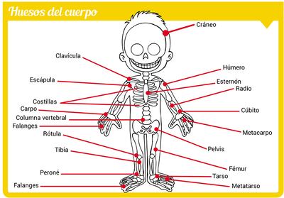 A movernos de aquí para allá