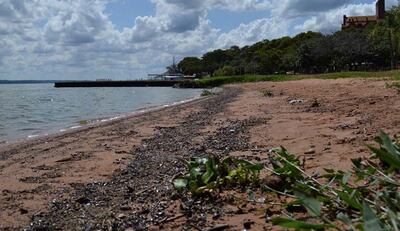 Imagen sin descripción