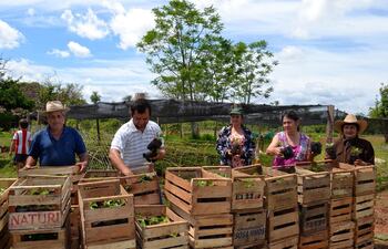 los-miembros-de-la-asociacion-de-productores-fruticolas-de-misiones-muestran-plantines-de-mburukuja-este-ano-volveran-a-recibir-ayuda--194719000000-1034389.jpg