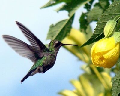 /pf/resources/images/abc-placeholder.png?d=2395