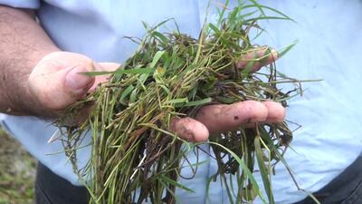 /pf/resources/images/abc-placeholder.png?d=2429