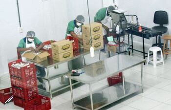 sala-reservada-para-el-envasado-de-los-turrones-de-mani-kelwa-producidas-en-un-sitio-cercano-a-filadelfia--205623000000-1583188.jpg