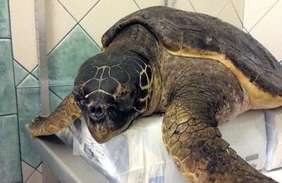 /pf/resources/images/abc-placeholder.png?d=2417