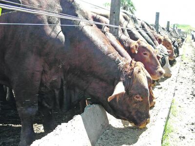 /pf/resources/images/abc-placeholder.png?d=2428