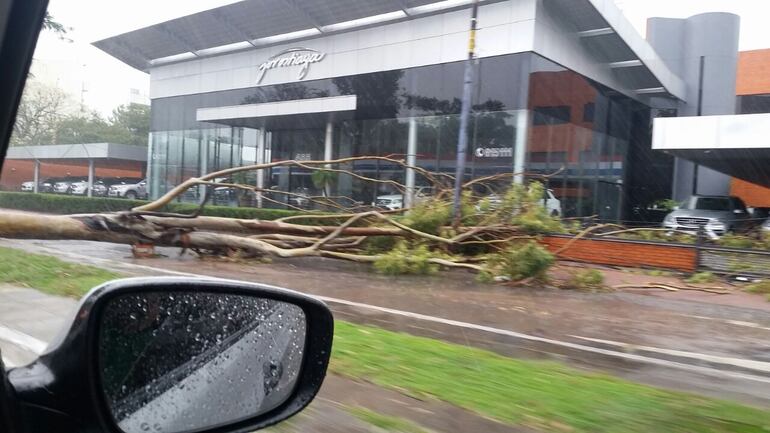 /pf/resources/images/abc-placeholder.png?d=2429