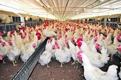 /pf/resources/images/abc-placeholder.png?d=2394