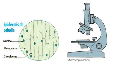 /pf/resources/images/abc-placeholder.png?d=2425