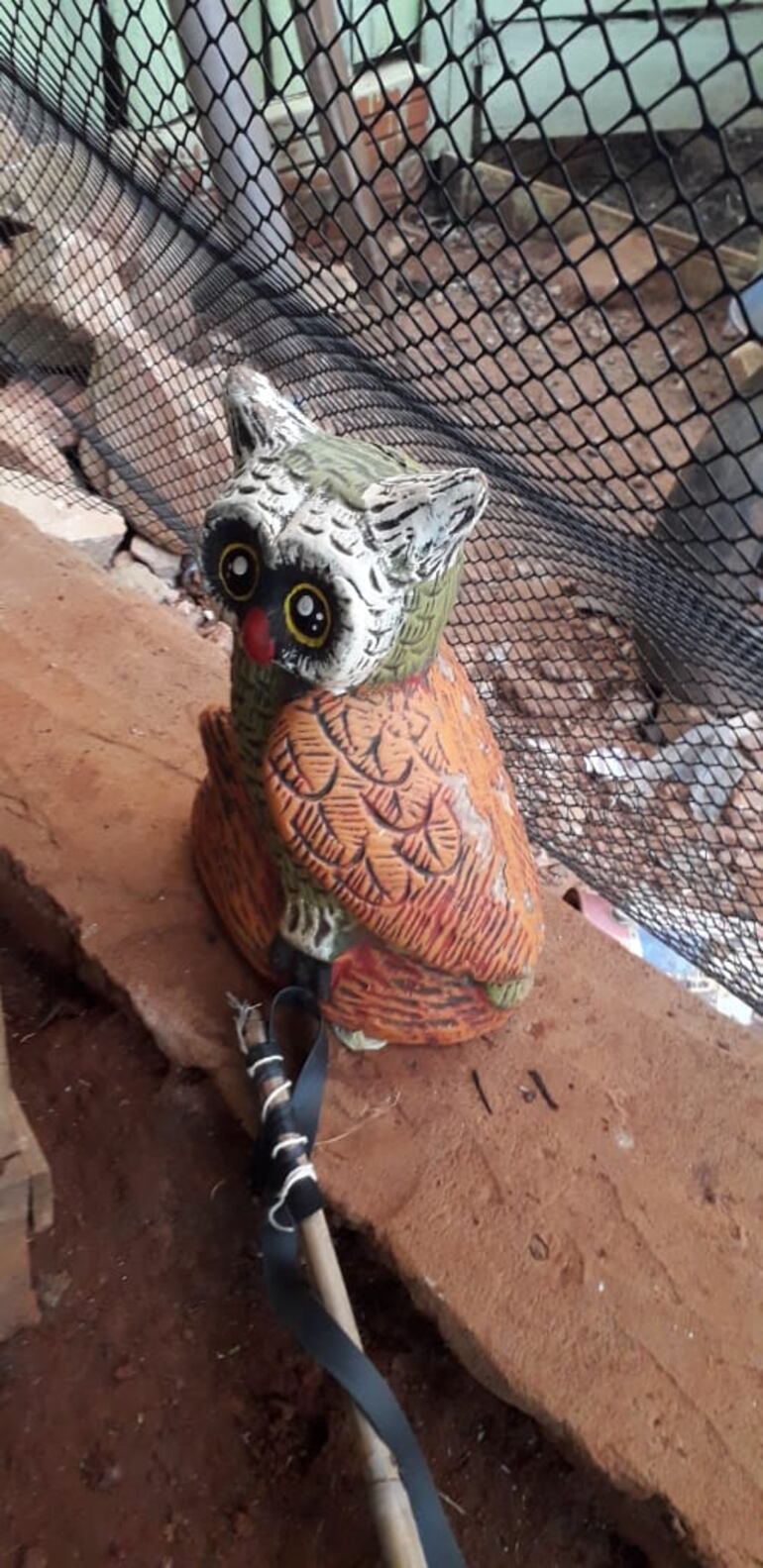 Uno de los paquetes estaba escondido en una alcancía.