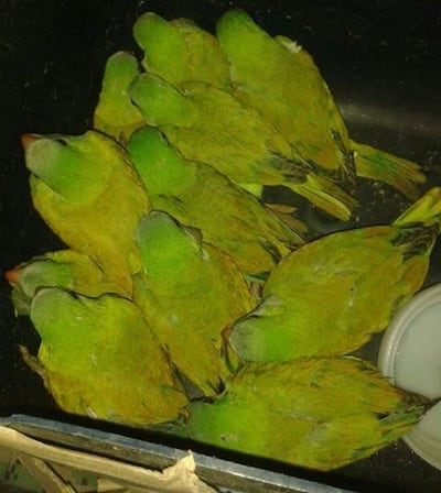 /pf/resources/images/abc-placeholder.png?d=2393