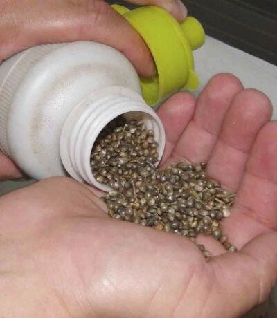 /pf/resources/images/abc-placeholder.png?d=2394