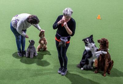 /pf/resources/images/abc-placeholder.png?d=2419