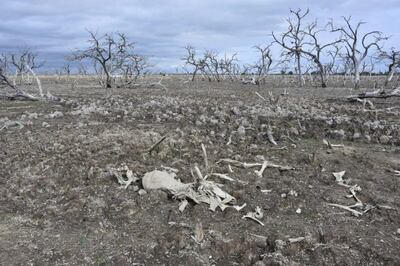 /pf/resources/images/abc-placeholder.png?d=2394