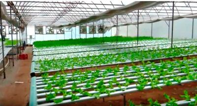 Interesante emprendimiento que puede replicarse en otras regiones  del  país.