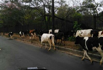 /pf/resources/images/abc-placeholder.png?d=2399