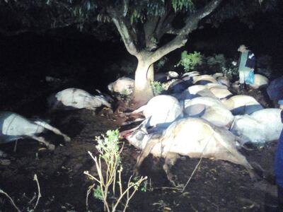 /pf/resources/images/abc-placeholder.png?d=2393