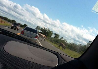 /pf/resources/images/abc-placeholder.png?d=2395