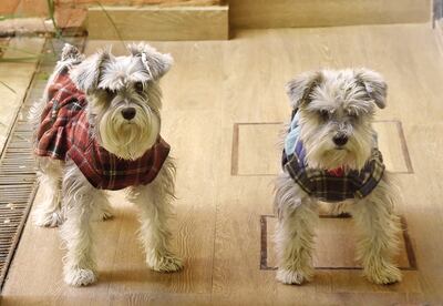 ¿Le afecta el clima?