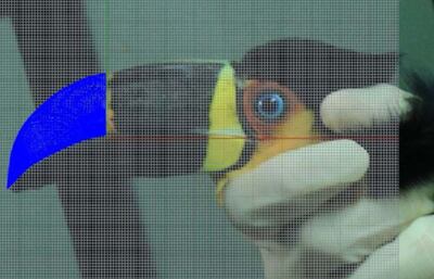 /pf/resources/images/abc-placeholder.png?d=2419