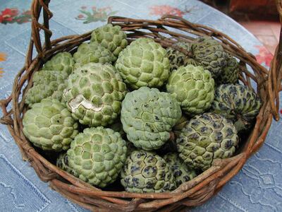 /pf/resources/images/abc-placeholder.png?d=2421