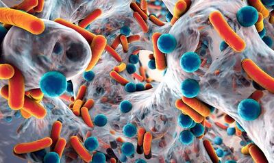 El virus es muy pequeño, pero tiene una gran capacidad de mutación, mientras que la bacteria es más grande y se divide entre benignas y patógenas.