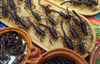 Desde un rico vori vori hasta un extraño asadito de alacranes, las gastronomías son diferentes dependiendo del país en el que te encuentres.