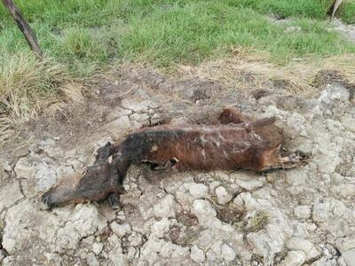 /pf/resources/images/abc-placeholder.png?d=2419