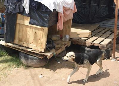 /pf/resources/images/abc-placeholder.png?d=2421