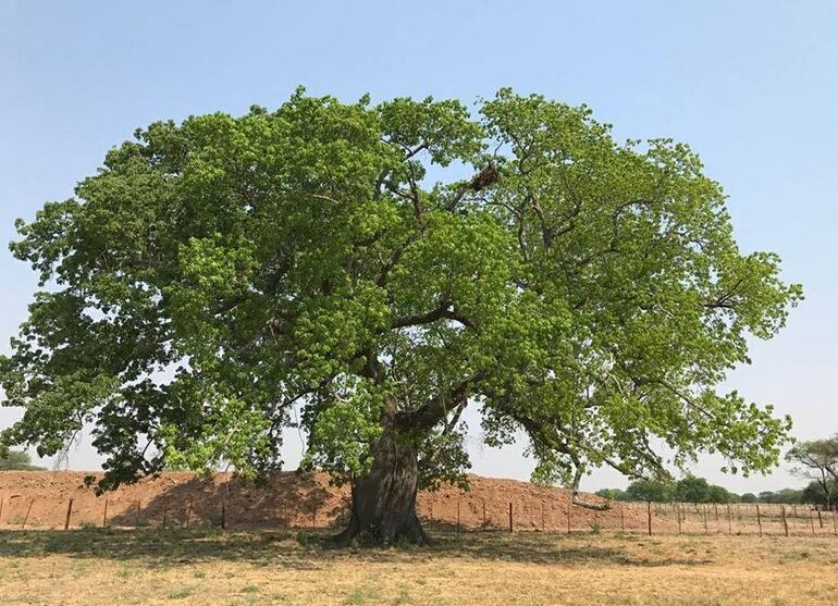 /pf/resources/images/abc-placeholder.png?d=2421