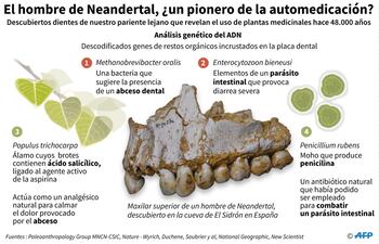 los-neandertales-ya-usaban-poha-nana-90238000000-1561975.jpg