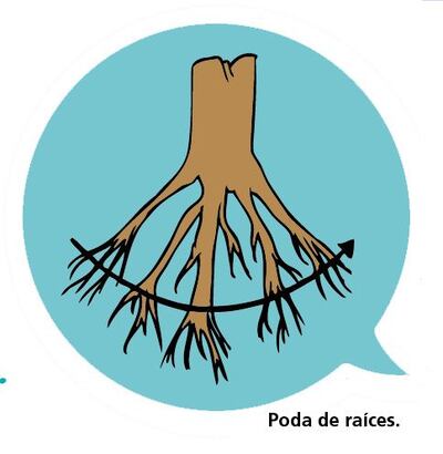 /pf/resources/images/abc-placeholder.png?d=2422