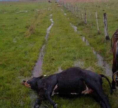 /pf/resources/images/abc-placeholder.png?d=2399