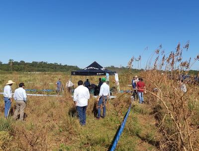Campofé y Corteva declaran  lucha a las malezas.