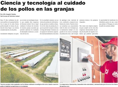 Ciencia y tecnología al cuidado de los pollos en las granjas