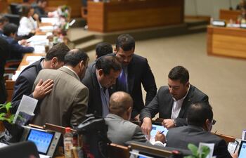 El presidente de la Cámara de Diputados, Pedro Alliana (ANR, cartista), se reunirá previamente en su partido para analizar las normas de trazabilidad del financiamiento y el de declaraciones juradas.