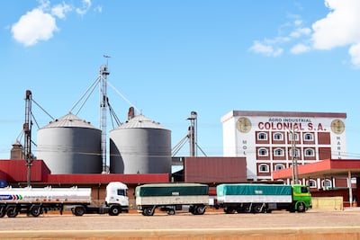 En los molinos harineros de  Campo 9 se observa   incesante  movimiento.