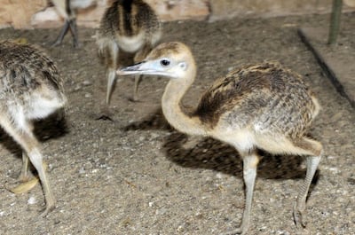 /pf/resources/images/abc-placeholder.png?d=2394