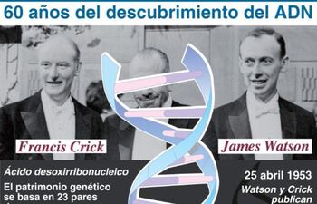 a-60-anos-del-gran-paso-dado-al-desentranar-la-estructura-del-adn-192808000000-543799.jpg