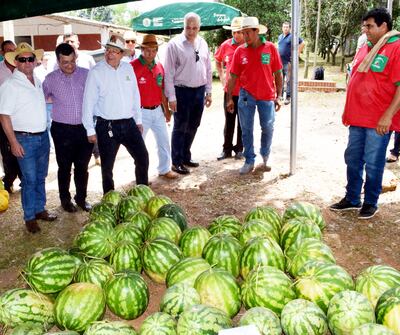 El viceministro de Agricultura, Ing. Mario León, acompañado del presidente de la Cooperativa Colonias Unidas, Agustín Konrad, y directivos del comité de productores de Paso Guembe.