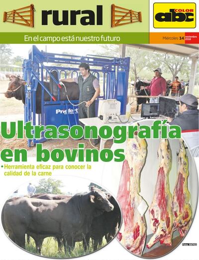 /pf/resources/images/abc-placeholder.png?d=2418