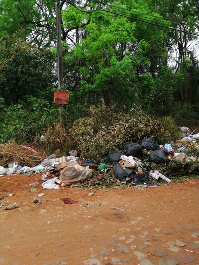 Basurales en Villa Elisa.