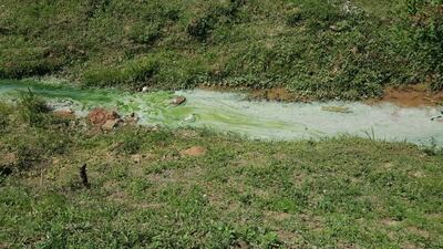 /pf/resources/images/abc-placeholder.png?d=2425