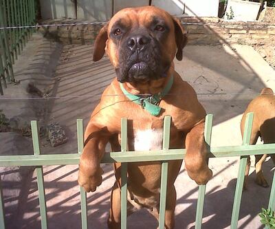 /pf/resources/images/abc-placeholder.png?d=2427