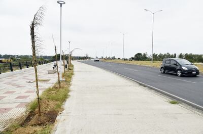 Varios plantines fueron arrancados en la noche del miércoles en la nueva Costanera. La policía  sospecha de los adictos.