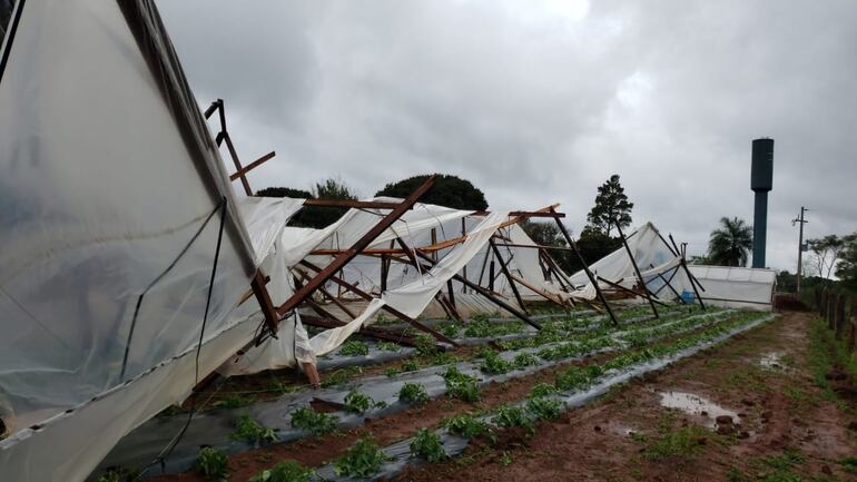 Tormenta generó cuantiosos daños materiales en San Cosme y Damián.
