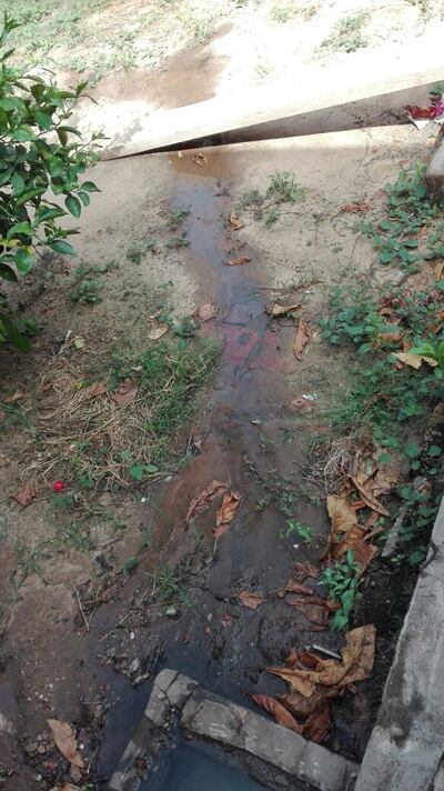 /pf/resources/images/abc-placeholder.png?d=2395