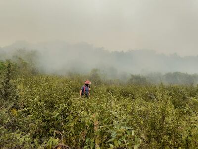 Incendio en parque nacional