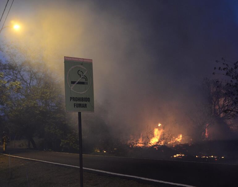 Incendio en Parque Guasu Metropolitano.