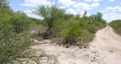 /pf/resources/images/abc-placeholder.png?d=2424