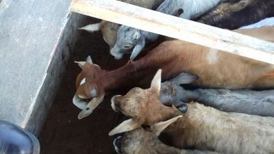 /pf/resources/images/abc-placeholder.png?d=2420