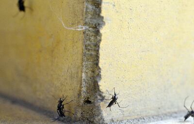 /pf/resources/images/abc-placeholder.png?d=2397